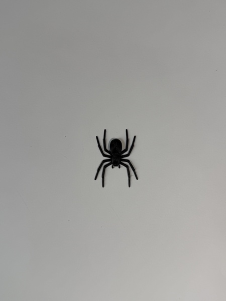 3D Printed Spider Wall Decor - Image 2