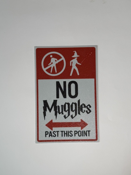 3D printed Harry Potter No Muggle past this point